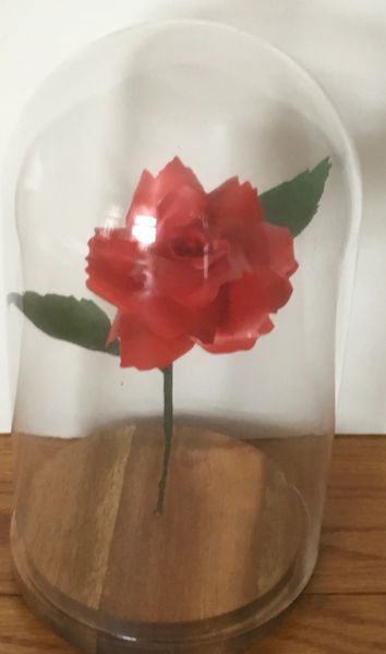 Glass Domed Red Rose - large