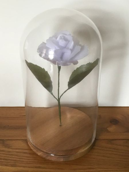 Glass Domed White Rose - large