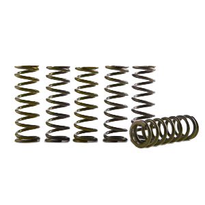 Hinson Hi-Temp Clutch Spring Kit