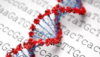 Ngs Sugenomics Biotechnology