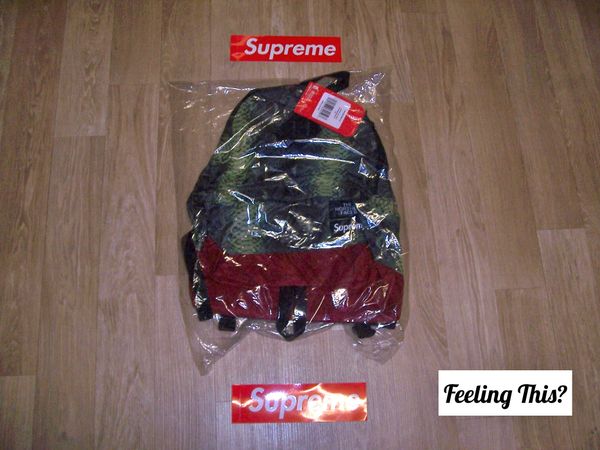 Supreme X The North Face Snakeskin Lightweight Backpack