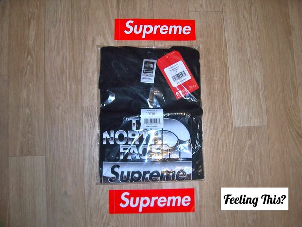 North face supreme metallic on sale tee