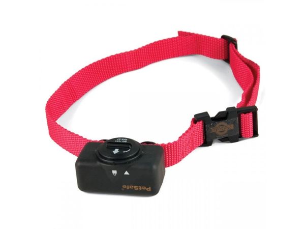 Petsafe static collar best sale