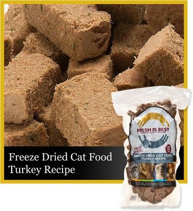 Best fresh clearance cat food