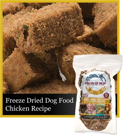 The best freeze 2024 dried dog food