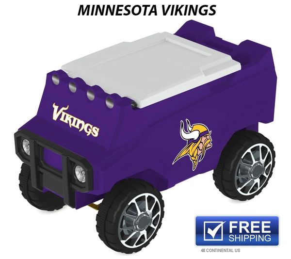 Siskiyou Sports NFL Minnesota Vikings Can Shaft Cooler, Purple, One Size  (77235)