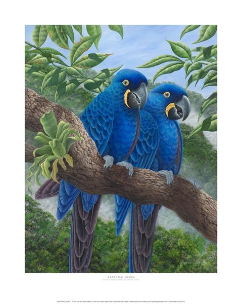 "Pantanal Blues"