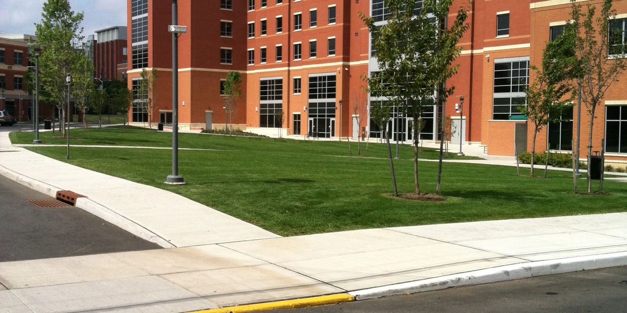 Lawn with small trees near brick building.