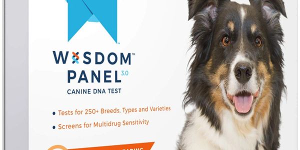 Dog DNA kits on sale!
