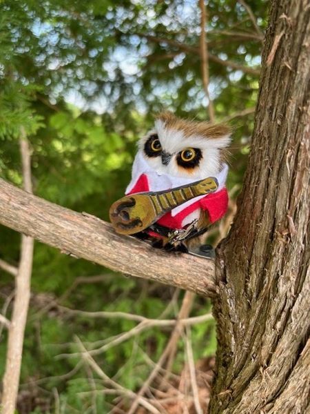 Bard Owlventurer