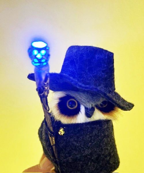 Wizard Owlventurer