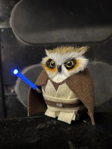 Jedi Owlventurer