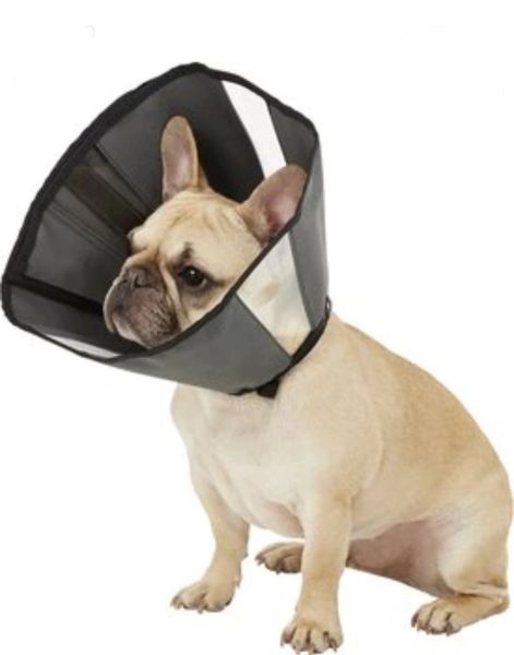 Zenpet soft outlet recovery collar