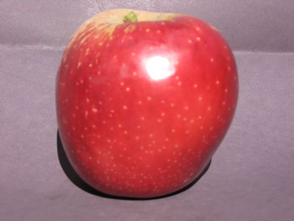 Organic Red Delicious Apples, Apples