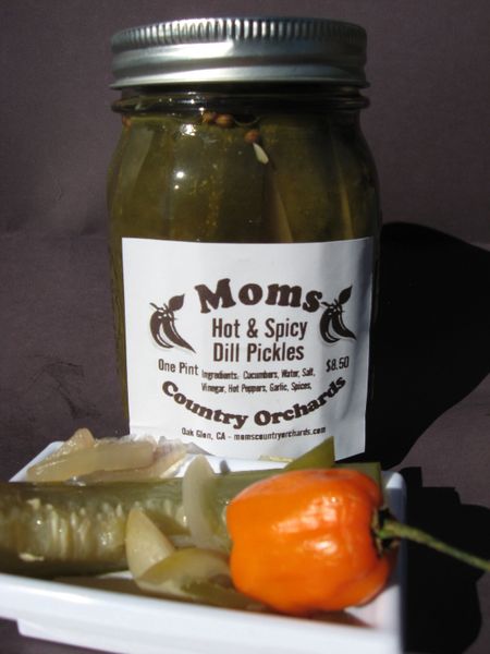 Kosher Dill Pickles Spicy