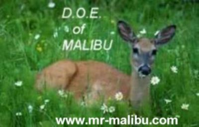 DOE of Malibu