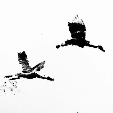 ink drawings on paper