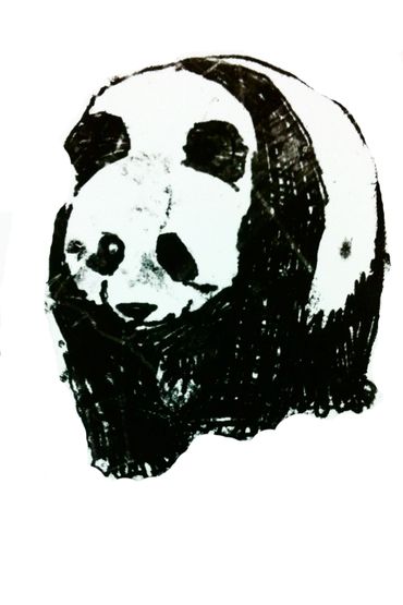 panda drawing ink mono print the shaw