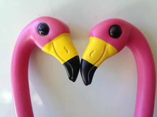 OUT OF STOCK 6 Premium Pink Lawn Flamingos + You've Been ...