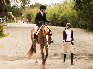 Don’t have a horse? No problem, we’ve got our resident lesson horses and ponies for you to use! 