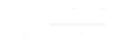 Carcie Consulting