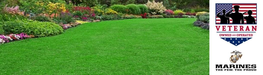 Expert Lawn Care Services in Tampa, FL
