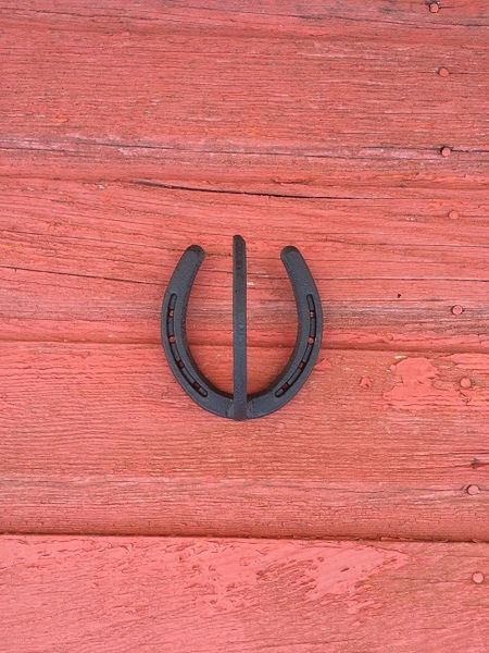 Single Horseshoe Coat Hook