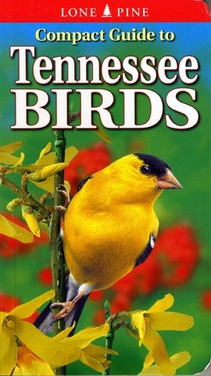 Book - Compact Guide to Tennessee Birds by Michael Roedel & Gregory Kennedy
