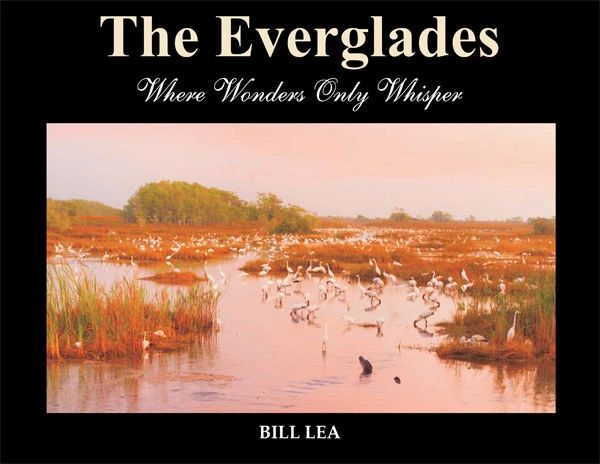 Book - The Everglades, Where Wonders Only Whisper by Bill Lea