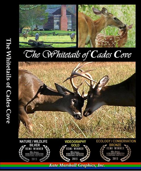 A DVD - The Whitetails of Cades Cove