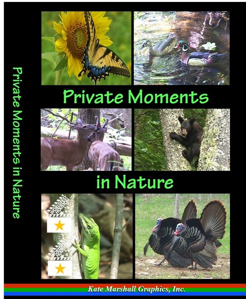 A DVD - Private Moments in Nature