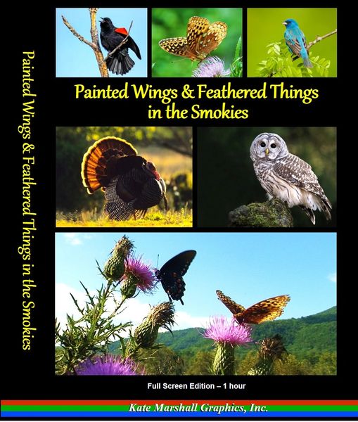A DVD - NEW! Painted Wings & Feathered Things in the Smokies