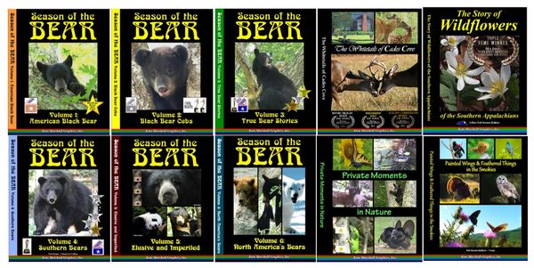 A DVD SET - 10 Wildlife Documentaries