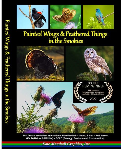A DVD - Painted Wings & Feathered Things in the Smokies