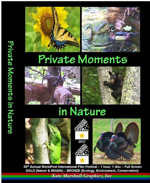 A DVD - Private Moments in Nature