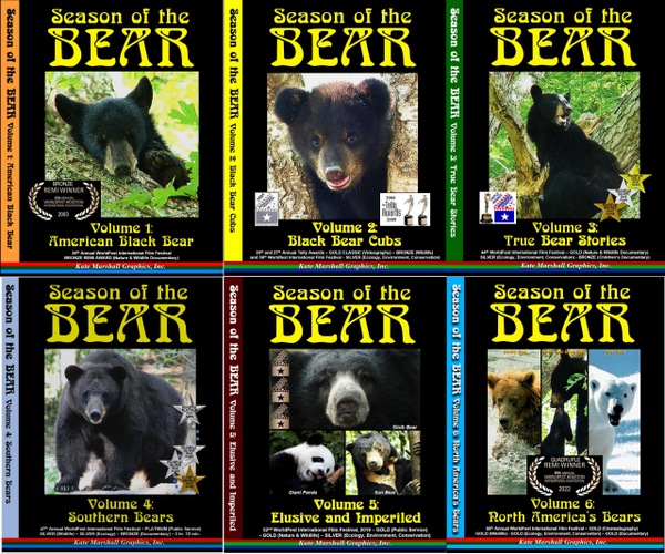 A DVD SET - 6 Season of the Bear Documentaries
