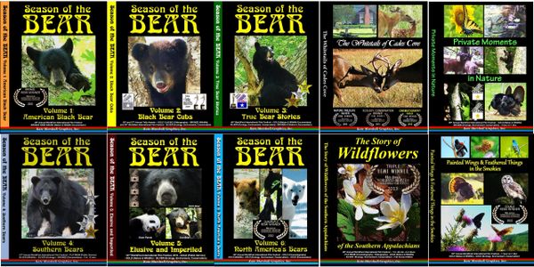 A DVD SET - 10 Wildlife Documentaries