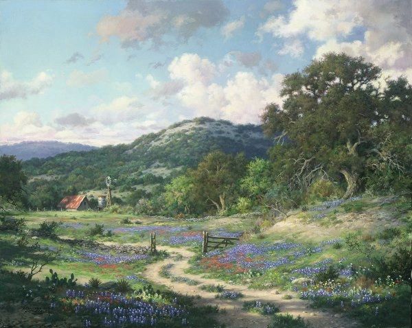 Hill Country Evening by Larry Dyke