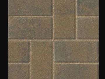 Paver bricks