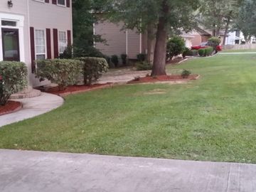 This is a groomed lawn with additional landscaping.
