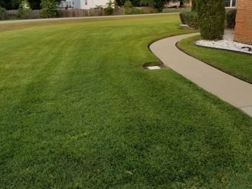 This is a groomed lawn not just cut. 