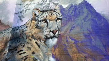 spray paint outdoor art street art wildlife animal art utah Detail of Snow Leopard and Ibex- High Ui