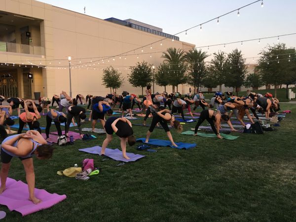 community yoga, yoga on the lawn