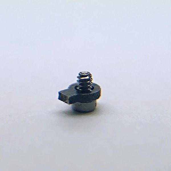 Details about   Rolex BubbleBack Case Clamp and screw  for Bubble Back 6098