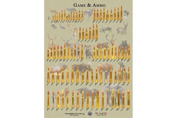 GAME & AMMO - Cartridges Poster