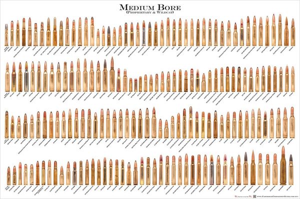 MEDIUM BORE Ammunition Cartridge Poster - 24" x 36"