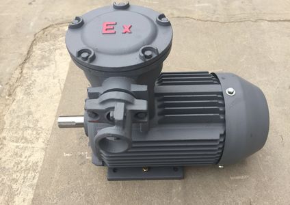 Produce electric motor vertical motor hollow shaft motor and vhs motors,Explosion-proof motors