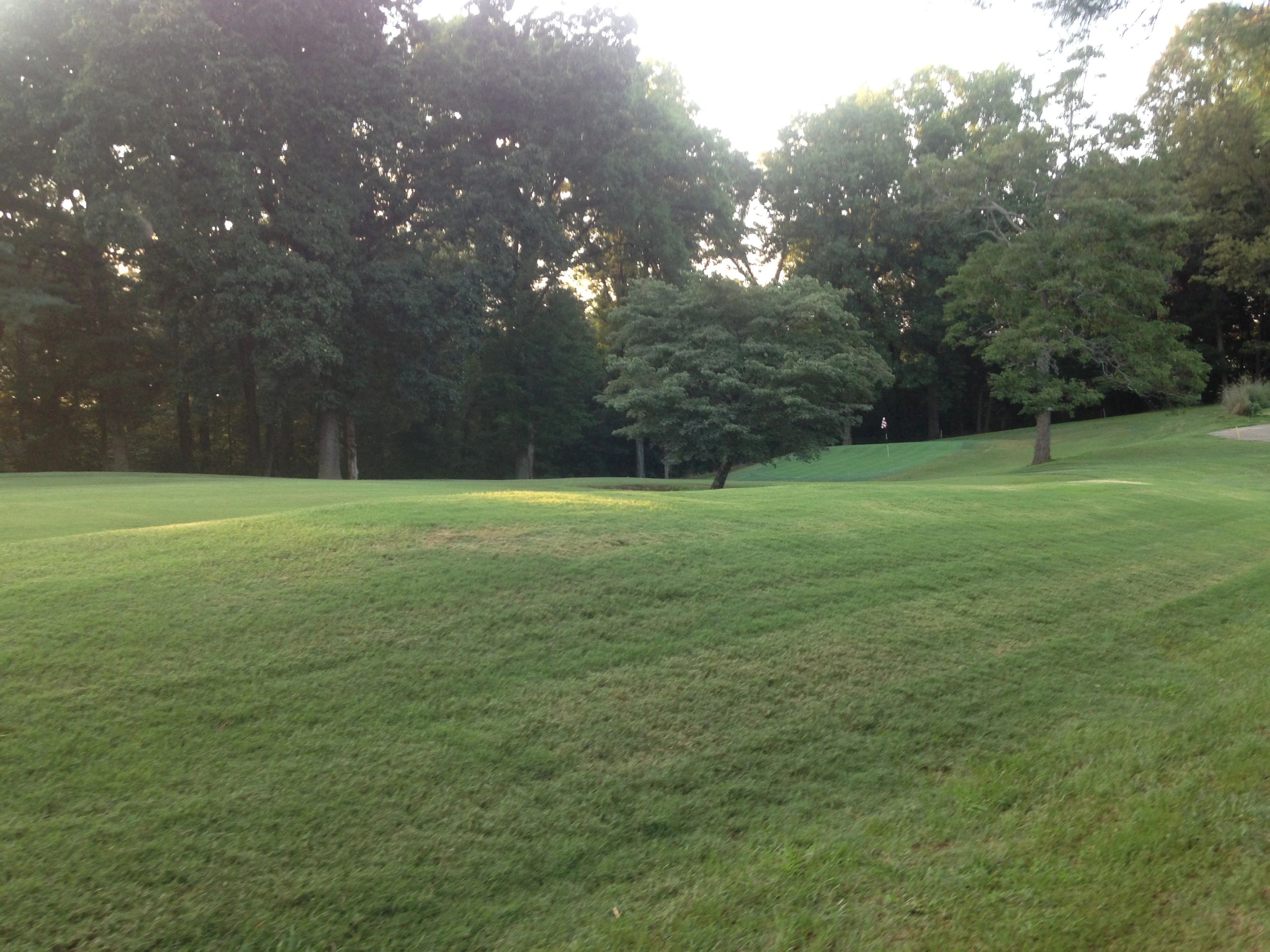 Scenic View Golf Course Winchester TN