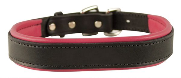 BLACK Padded Leather Dog Collar in NINE Padding Colors