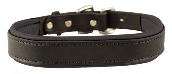 Perri's leather dog clearance collar